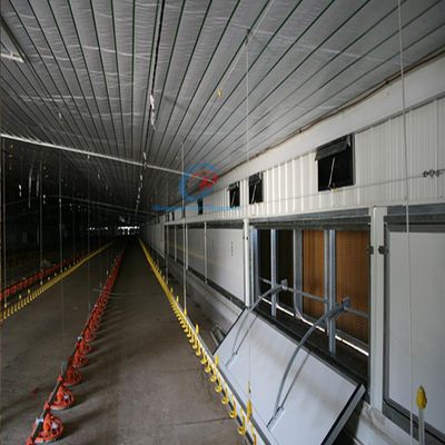 Strutture in acciaio per allevamenti di pollame, Q235 Q345 Strutture in acciaio per bovini