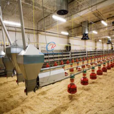 Struttura in acciaio prefabbricata Poultry House Customized Steel Frame Chicken Coop