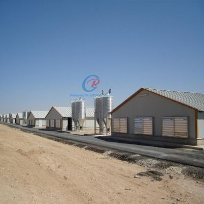 Struttura in acciaio galvanizzato Poultry House personalizzato con pannelli isolanti
