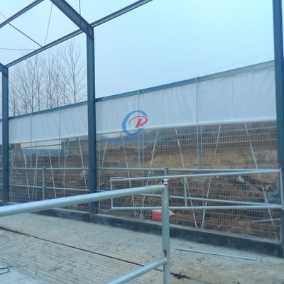 Costruzione di capannoni di acciaio e metallo, capannoni di acciaio prefabbricati per aziende casearie