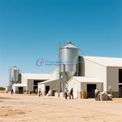 Struttura in acciaio prefabbricata Poultry House Customized Steel Frame Chicken Coop