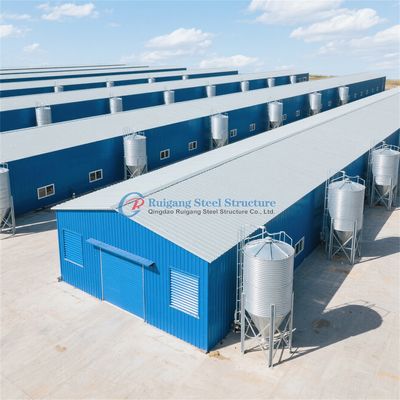 Strutture in acciaio resistente fabbricazione di edifici per allevamenti in acciaio galvanizzato su misura