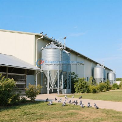 Struttura in acciaio su misura Resistenza al fuoco per allevamenti di pollame