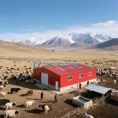 Industrial Workshop Office Stadium: Durable Blasting Steel Hangar Solution